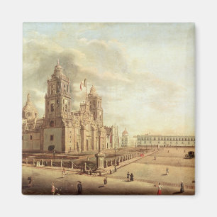 The Catedral Metropolitana Magnet