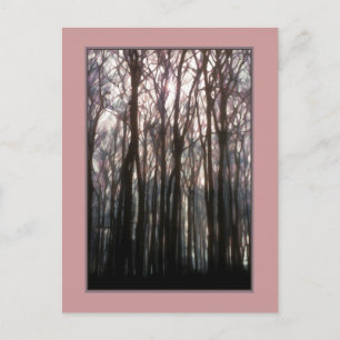 The Cathedral of the Forest Inspiring Photo Postcard