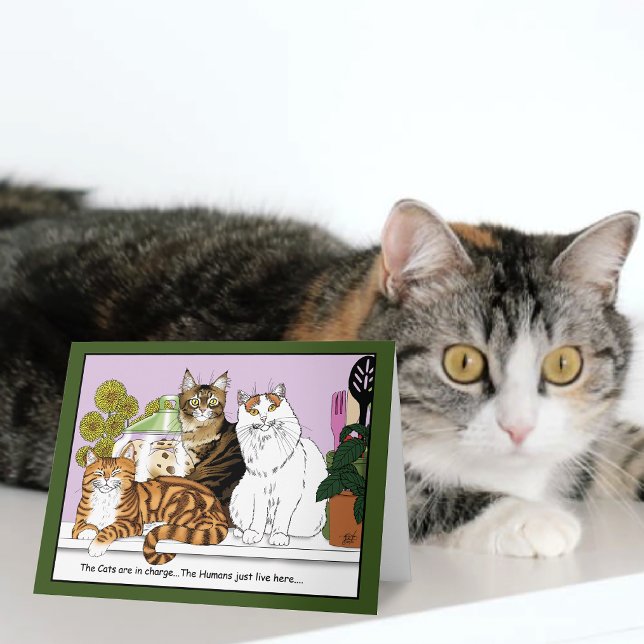 The Cats are in Charge Card (Creator Uploaded)