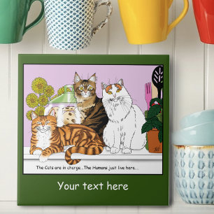 The Cats are in Charge Tile