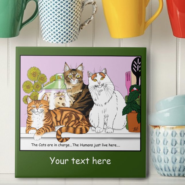 The Cats are in Charge Tile (Creator Uploaded)
