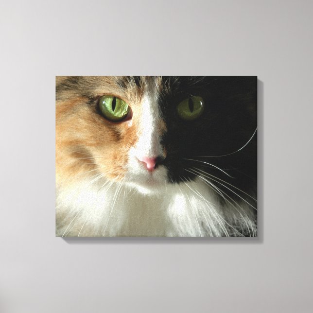 The Cat's Eyes Canvas Print (Front)