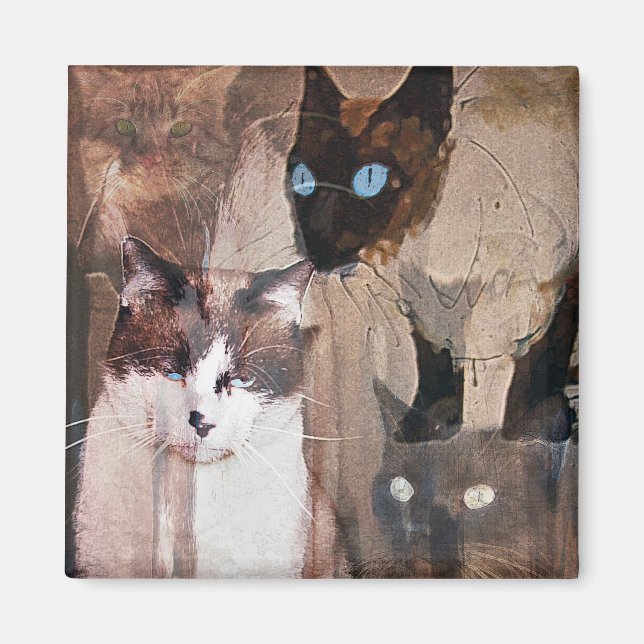 The Cats Magnet (Front)