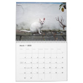 The Cats of Old San Juan, 2016 Calendar (Mar 2025)