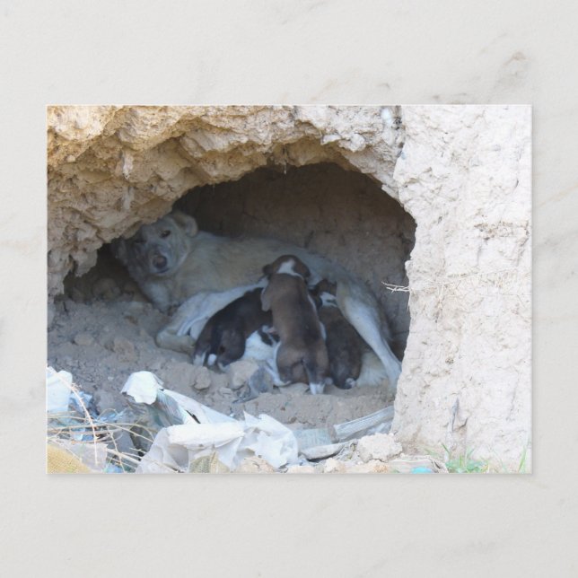 The Cave Postcard (Front)