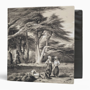 The Cedars of Lebanon, engraved by Freeman (sepia Binder