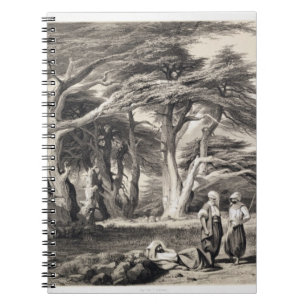 The Cedars of Lebanon, engraved by Freeman (sepia Notebook