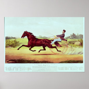The Celebrated Horse, George M. Patchen Poster