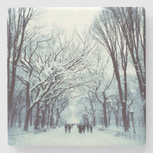 The Central Park Mall In Winter Stone Coaster