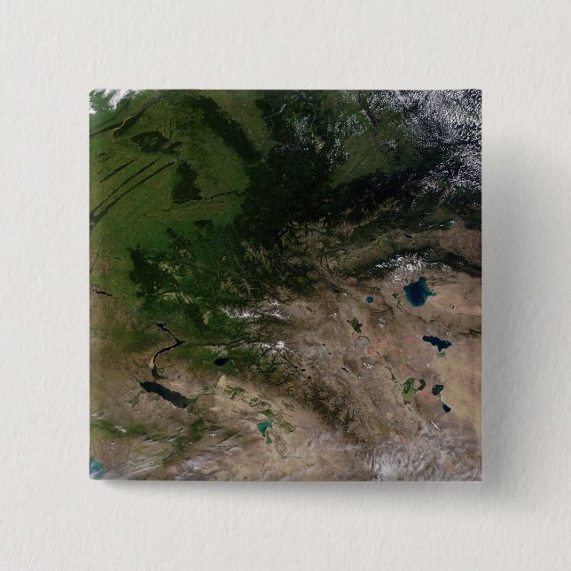 The change in vegetation 2 inch square button (Front)