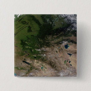 The change in vegetation 2 inch square button