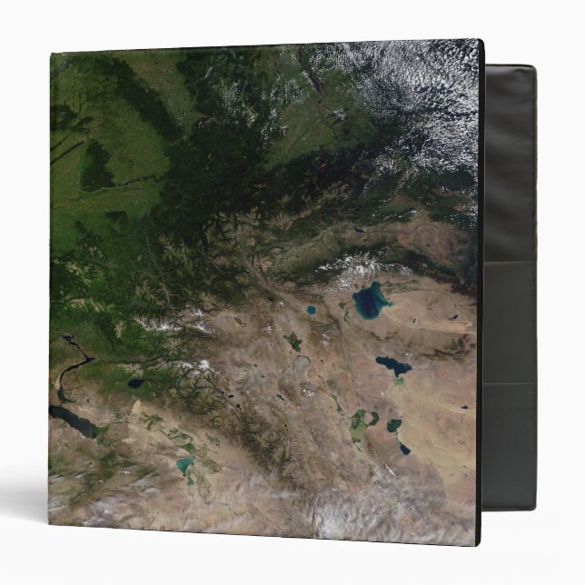The change in vegetation binder (Front/Inside)