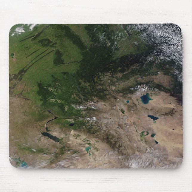 The change in vegetation mouse pad (Front)