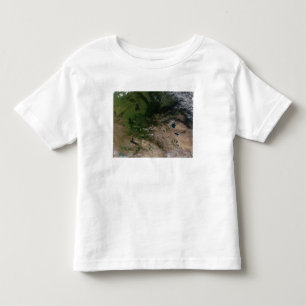 The change in vegetation toddler t-shirt