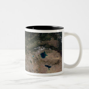 The change in vegetation Two-Tone coffee mug