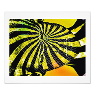 The Changeling Photo Print