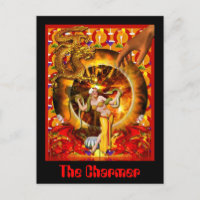 The Charmer