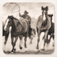 The Chase I