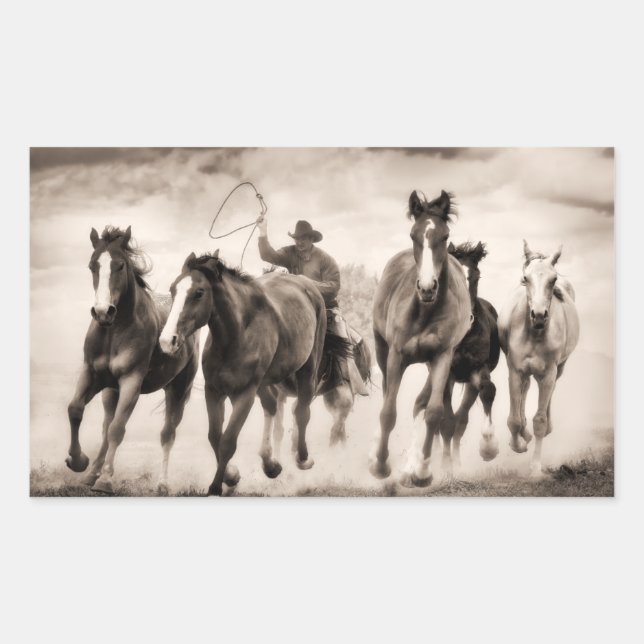 The Chase I Sticker (Front)