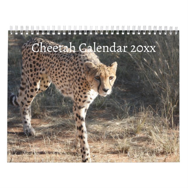 The Cheetah (Acinonyx Jubatus) Calendar (Cover)