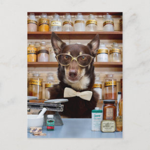 The Chemist Postcard