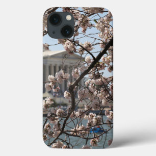 The Cherry Blossoms In Bloom In Washington DC iPhone 13 Case