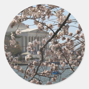 The Cherry Blossoms In Bloom In Washington DC Classic Round Sticker