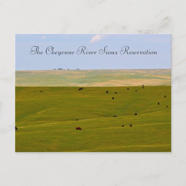 The Cheyenne River Sioux Reservation Postcard (Front)