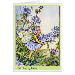 The Chicory Fairy