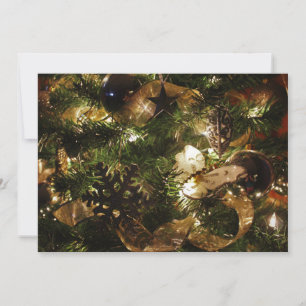 The Christmas Butterfly Holiday Card