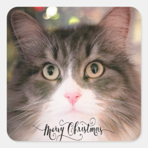 The Christmas Cat Envelope Stickers