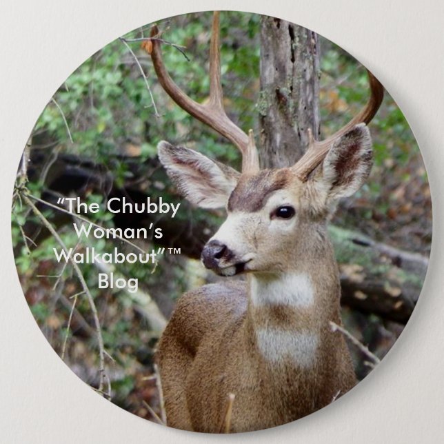 “The Chubby Woman’s Walkabout”™  blog button (Front)