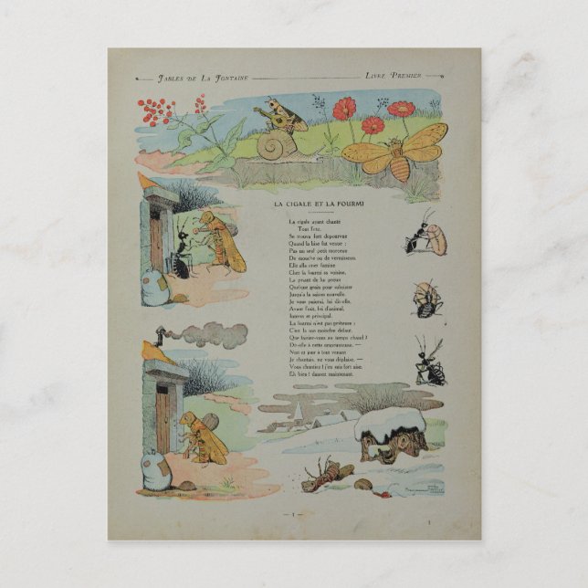 The Cicada and the Ant from the Fables Postcard (Front)