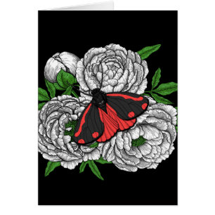 The cinnabar moth