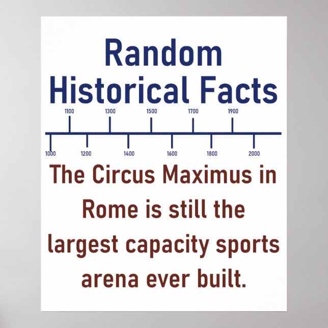 The Circus Maximus In Rome  - History Fact Poster (Front)
