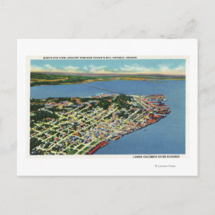 The City Looking Towards Young's Bay Postcard
