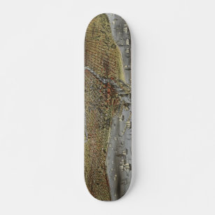 The City of Chicago Illinois from 1874 Skateboard