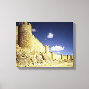 The city walls canvas print
