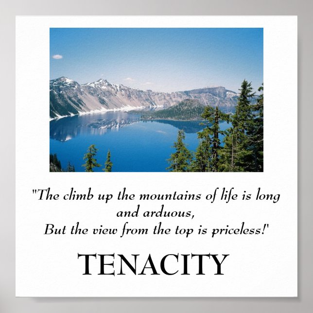 The climb up the mountains of life poster (Front)