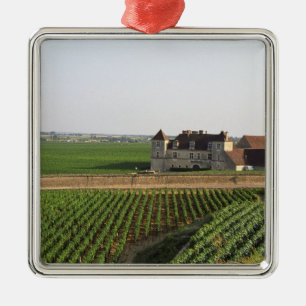 The Clos de Vougeot 16th century monastery and Metal Ornament
