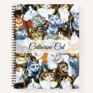 The Clowder of CATS Notebook