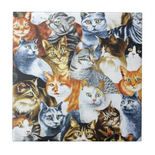 The Clowder of CATS Tile
