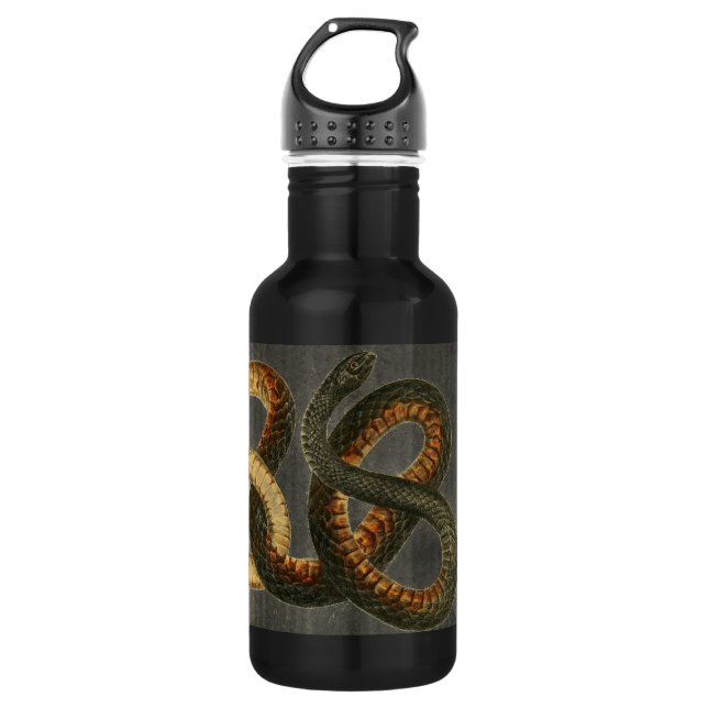 The Coachwhip Snake Water Bottle (Front)