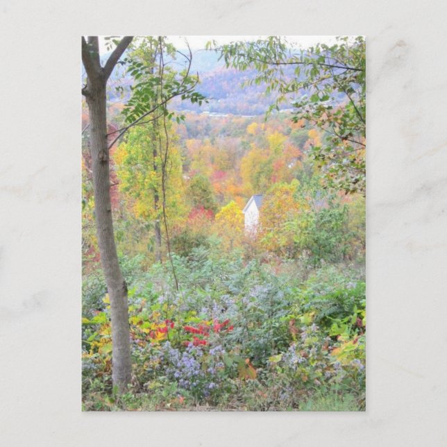 the colours of a mountain fall postcard (Front)