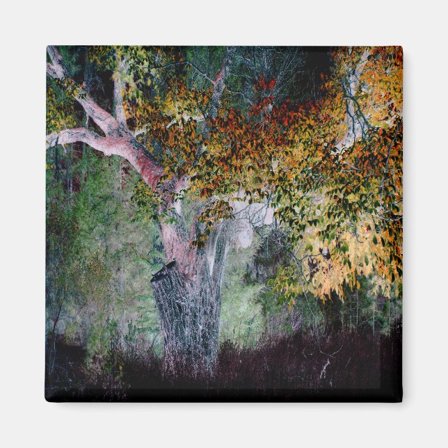 The Colours of Fall.... Magnet (Front)