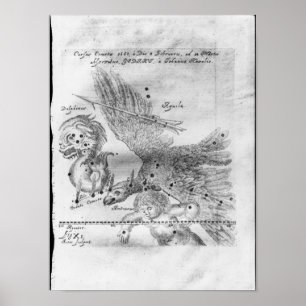 The Comet discovered and observed by Johannes Poster