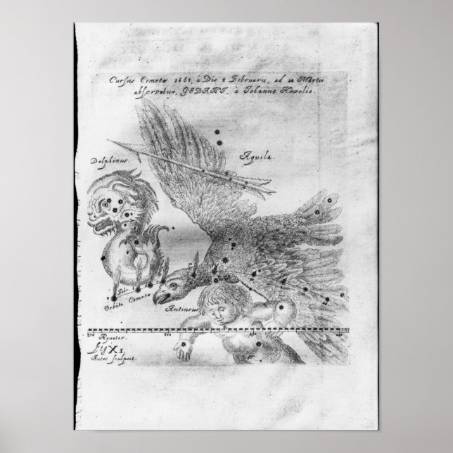 The Comet discovered and observed by Johannes Poster (Front)