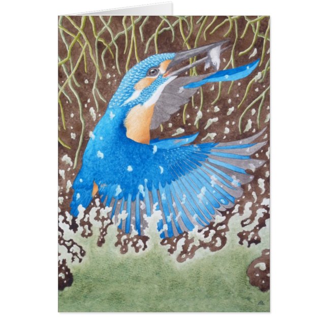 The Common Kingfisher (Front)