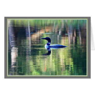 The-Common Loon-returns to Walden Pond
