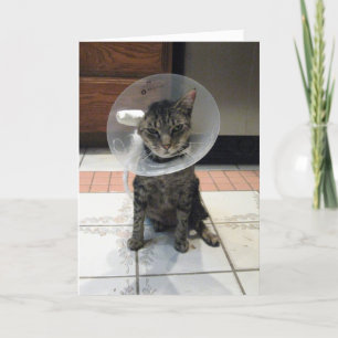 The Cone Of Shame Get Well Card
